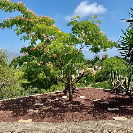 Villa Olivae Xalet *