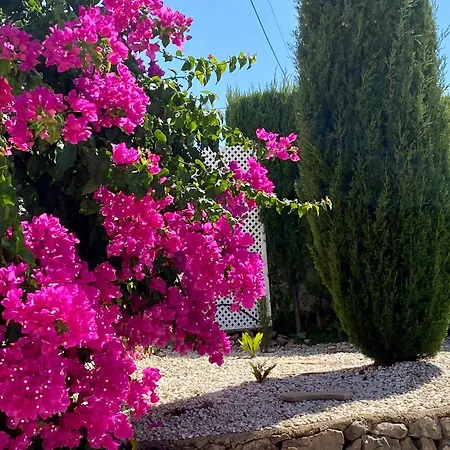 Villa Olivae Xalet Benidoleig